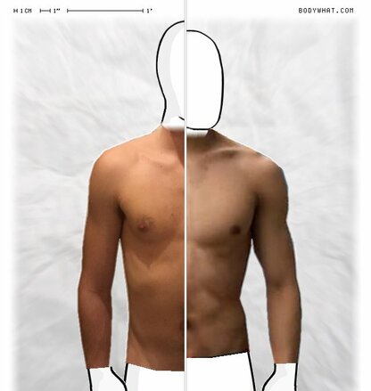 Torso Comparison