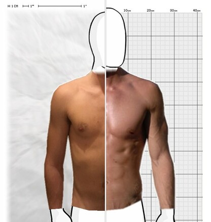 Torso Comparison