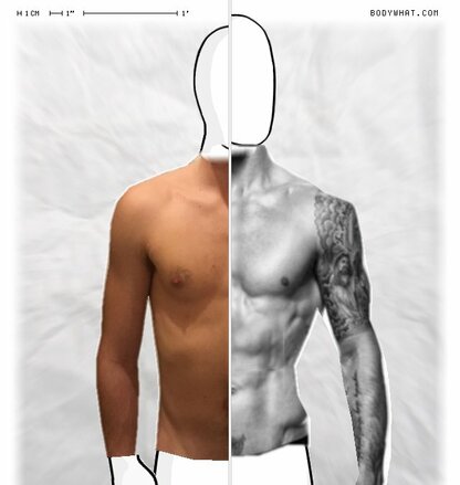 Torso Comparison