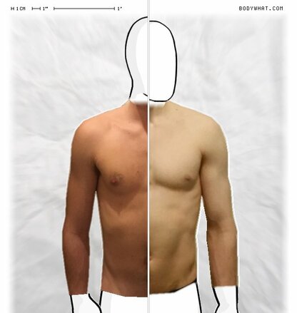 Torso Comparison