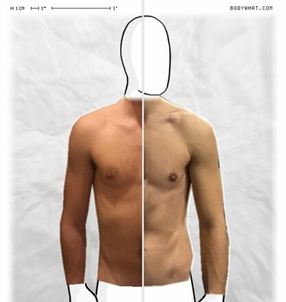 Torso Comparison