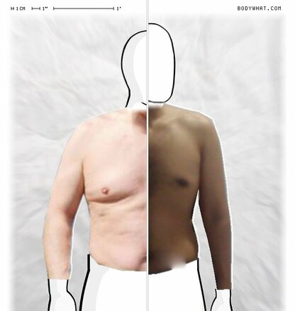 Torso Comparison