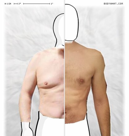 Torso Comparison