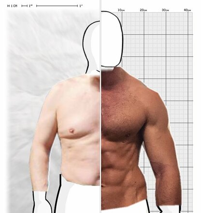 Torso Comparison