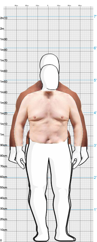 Full Size Comparison