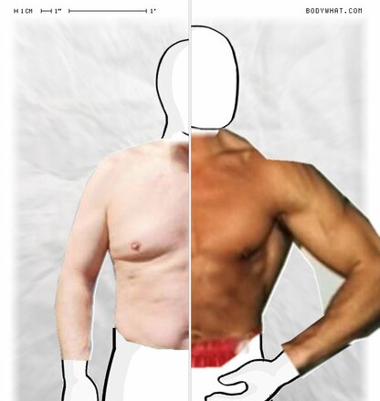 Torso Comparison