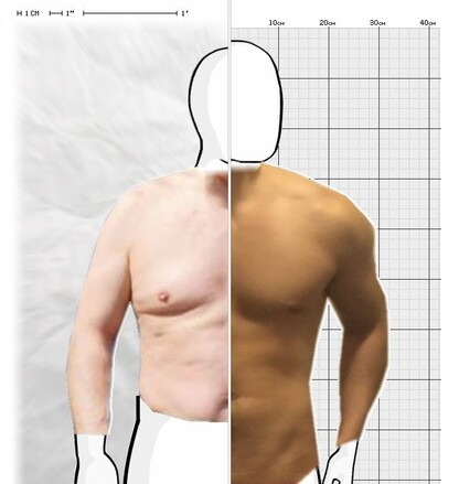 Torso Comparison