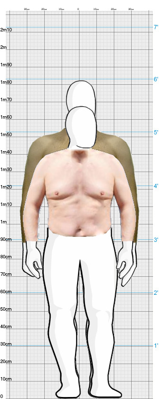 Full Size Comparison