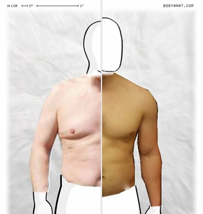 Torso Comparison