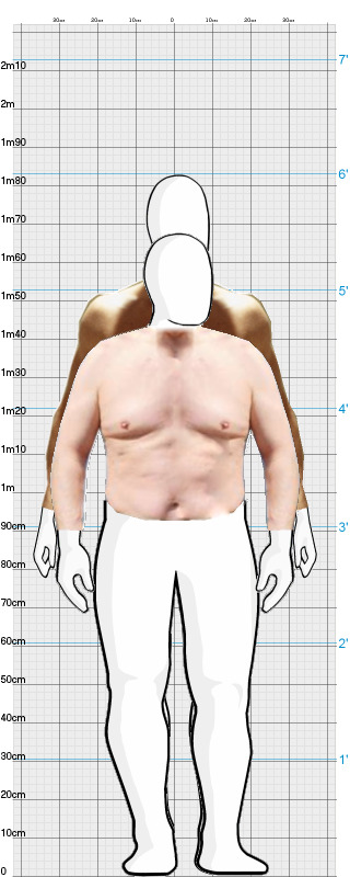 Full Size Comparison