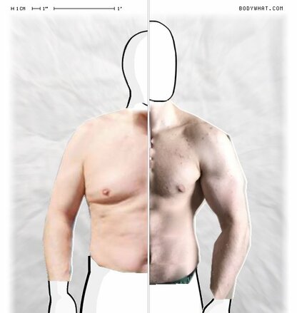 Torso Comparison