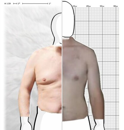 Torso Comparison