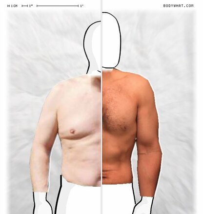 Torso Comparison