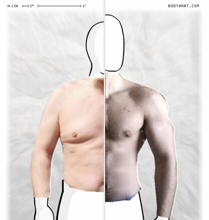 Torso Comparison