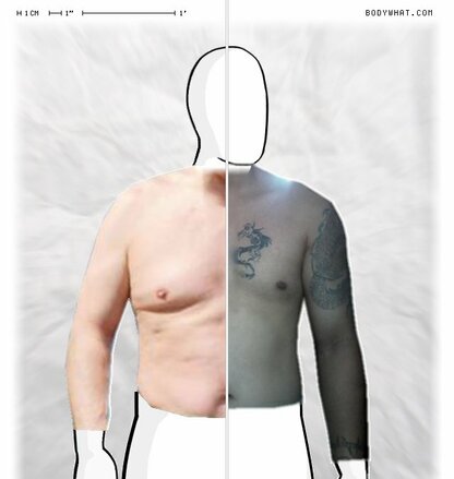 Torso Comparison