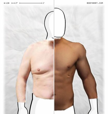 Torso Comparison