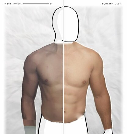 Torso Comparison