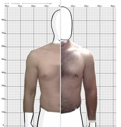 Torso Comparison