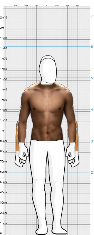 Full Size Comparison