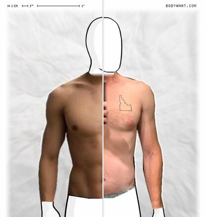 Torso Comparison