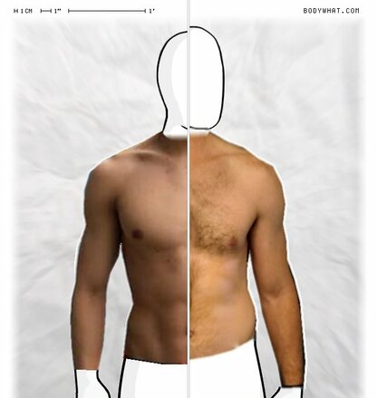 Torso Comparison