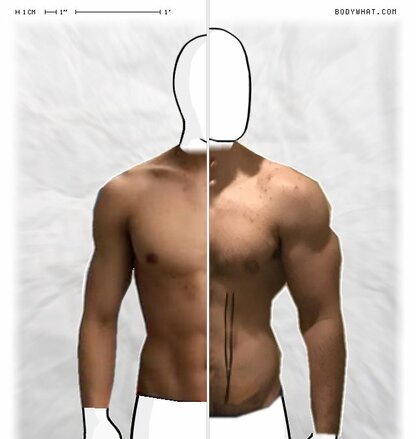 Torso Comparison