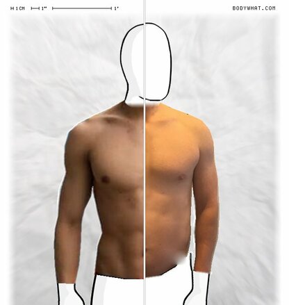 Torso Comparison