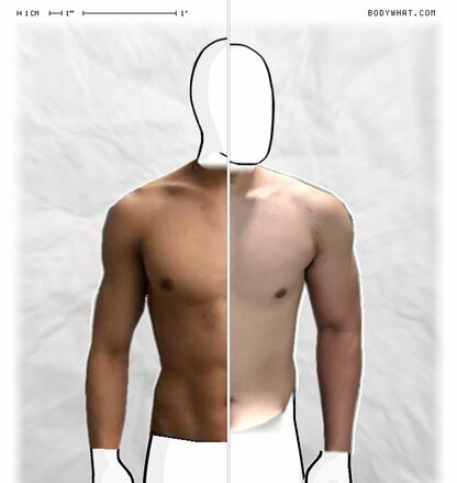 Torso Comparison