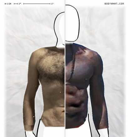 Torso Comparison