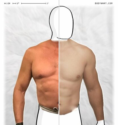 Torso Comparison