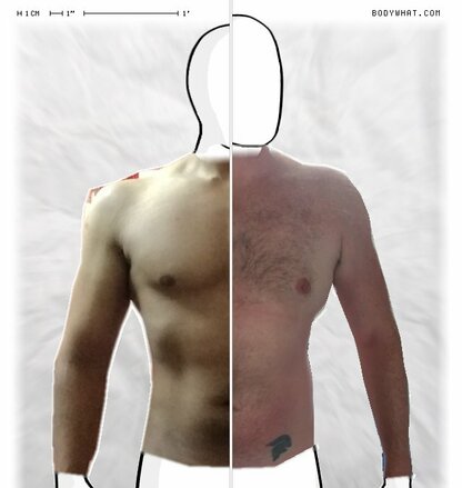 Torso Comparison