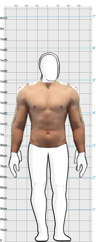 Full Size Comparison