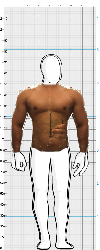 Full Size Comparison