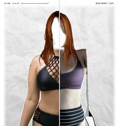 Torso Comparison