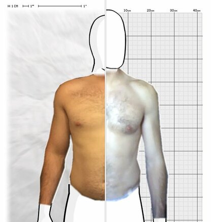 Torso Comparison