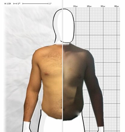 Torso Comparison