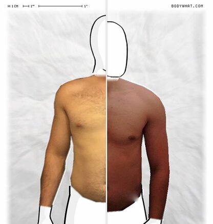 Torso Comparison