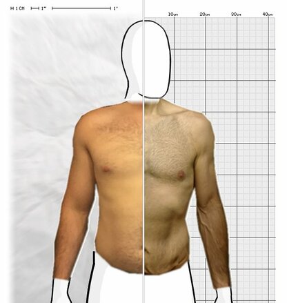 Torso Comparison