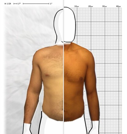 Torso Comparison