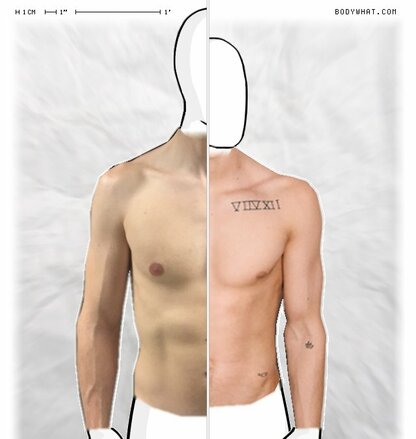 Torso Comparison