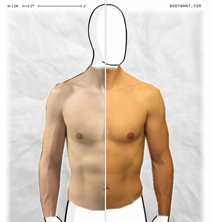 Torso Comparison