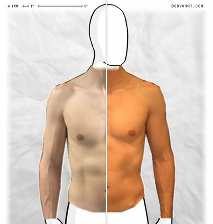 Torso Comparison