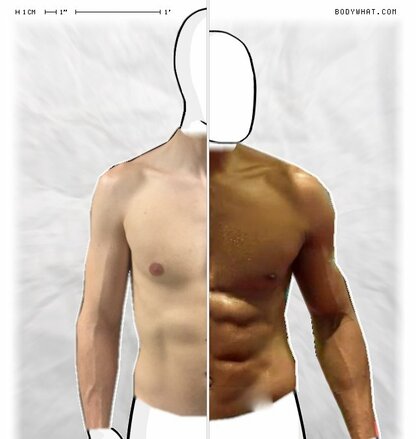 Torso Comparison