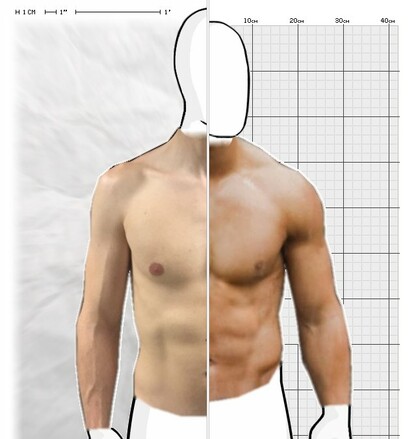 Torso Comparison