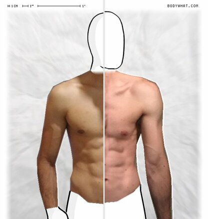 Torso Comparison