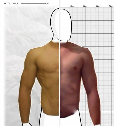 Torso Comparison