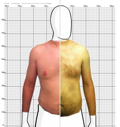 Torso Comparison