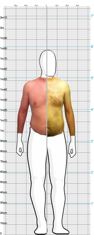 Full Size Comparison