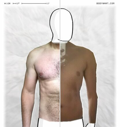 Torso Comparison