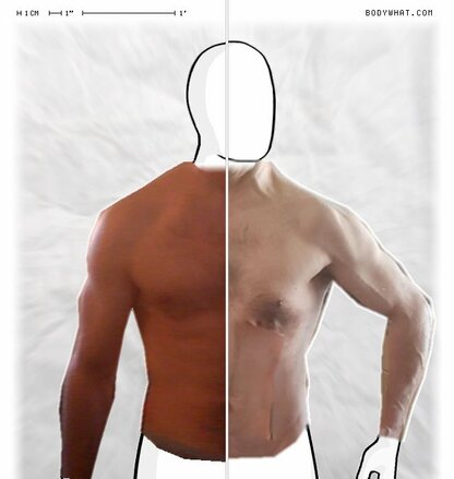 Torso Comparison